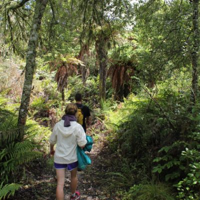 Wanderung am nächsten Tag