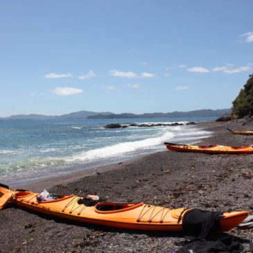 Mit dem Seakayak nach Urupukapuka