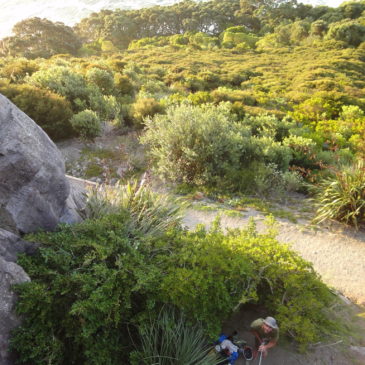 Mt Maunganui and Froggatt Edge