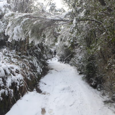 Winterwanderung