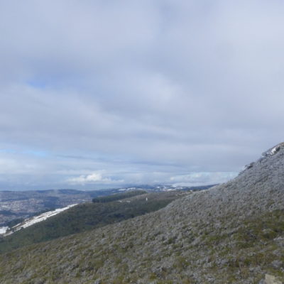 Mt Cargill 