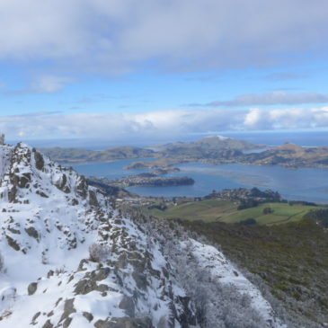 Winter in Dunedin