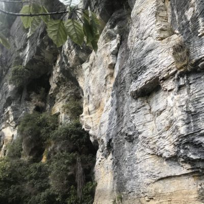 The rainy-day wall. Can you spot me? 