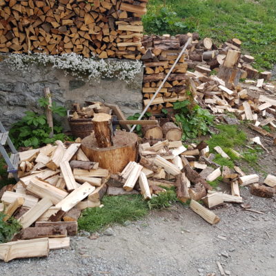 Ich kann jetzt einigermassen Holz spalten :) 